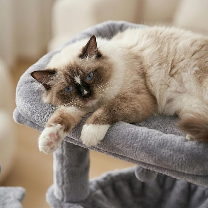 Cat Tree with Cat Condo and Hammock for Indoor Cats, Cat Tree with Self-Grooming Brush and Toy Balls,Cat Tower with Scratching Posts,Grey