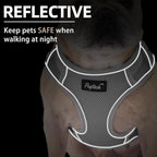PUPTECK Small Dog Harness and Leash Set, No Pull Adjustable Puppy Cat Harness, Reflective Soft Mesh Pet Vest Small Sized, Grey, S