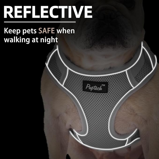PUPTECK Small Dog Harness and Leash Set, No Pull Adjustable Puppy Cat Harness, Reflective Soft Mesh Pet Vest Small Sized, Grey, S