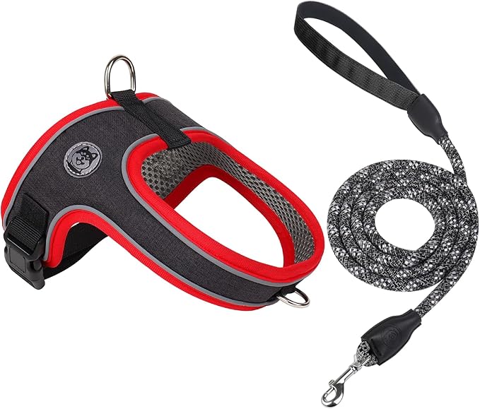 Dog Harness and Leash Set, No Pull Saddle Style Pet Harness, Breathable Mesh Adjustable Reflective Dog Vest for Dogs and Cat Medium Small Harness 2 D-Rings (Black, L)