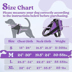 rabbitgoo Dog Harness Medium Sized, No Pull No Choke Pet Vest, Easy Wearing with One Buckle, Reflective, Adjustable Pet Harness with Molle for Walking, Training, Purple, M