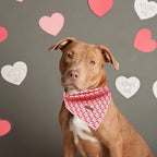 Elegant little tail Dog Bandana, Valentine's Day 1PC Washable Dog Scarf Female or Male Square Bib Kerchief Scarf Adjustable Pet Bandana for Medium Large Dogs