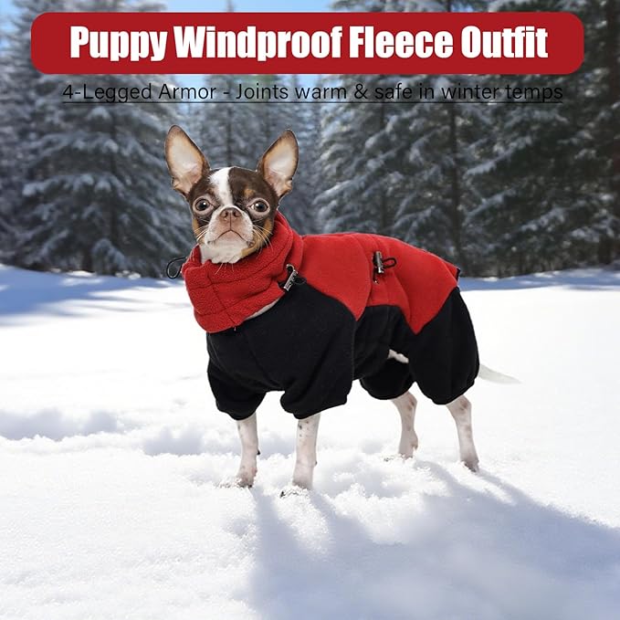 DENTRUN Small Dog Winter Coat, Warm Fleece Jacket with Removable Turtleneck, Dog Cozy Sweater, Puppy Cold Weather Outfit, Windproof Costume, Soft Woolly Pajamas