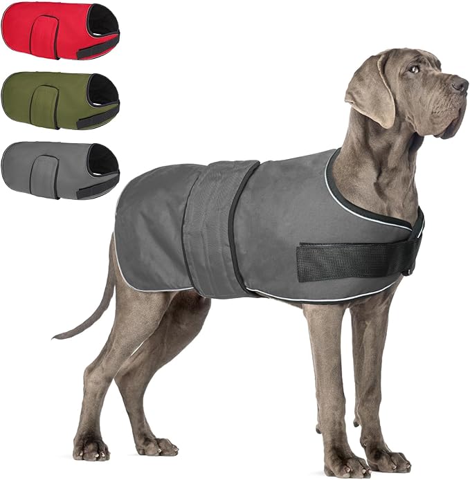 BEAUTYZOO Dog Winter Coat for Large Dogs Waterproof, Warm Reflective Great Dane Oxford Canvas Jacket, Fleece Dog Cold Weather Coats Windproof for Female Male Dogs, Grey L