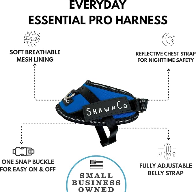 ShawnCo Essential Pro Dog Harness, No-Pull Pet Vest with 3 Leash Clips and Removable, Reflective Side Patches, Adjustable and Padded Harness for Small, Medium and Large Dogs (Electric Blue, XS)