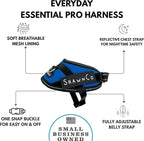 ShawnCo Essential Pro Dog Harness, No-Pull Pet Vest with 3 Leash Clips and Removable, Reflective Side Patches, Adjustable and Padded Harness for Small, Medium and Large Dogs (Electric Blue, XS)