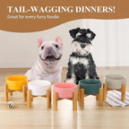LIONWEI LIONWELI Ceramic Raised Dog Bowls, Medium - Set of 2 - Non Slip Wood Stand - Anti Vomiting - 850 ml - White