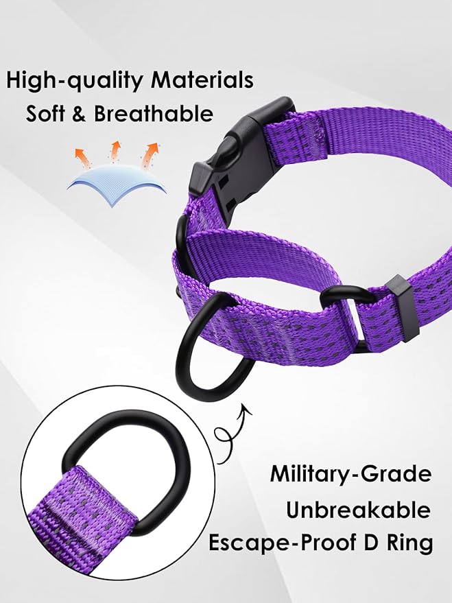 Martingale Collar for Dogs, Adjustable Soft Nylon Dog Collars with Special Design Cute Patterns (Purple, M (1" x 15.5"-19.5"))