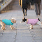 Dog Winter Jacket for Extra-Large Dogs, Pet Windproof Cold Weather Coats, Pets Clothes Snow Jacket, Golden Retriever, Labrador Retriever, Husky, Blue XL