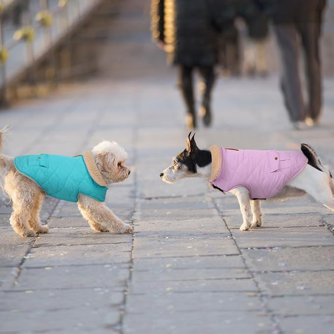 Dog Winter Jacket for Extra-Large Dogs, Pet Windproof Cold Weather Coats, Pets Clothes Snow Jacket, Golden Retriever, Labrador Retriever, Husky, Blue XL