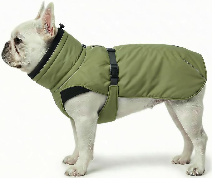 Dog Winter Coat, Warm Puffer Jacket with Fur-Safe Buckle & Leash Hole for Cold Weather, Water-Repellent Snow Vest, Breathable Thermal Apparel for Hiking & Active Dogs (Green, X-Small)