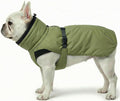 Dog Winter Coat, Warm Puffer Jacket with Fur-Safe Buckle & Leash Hole for Cold Weather, Water-Repellent Snow Vest, Breathable Thermal Apparel for Hiking & Active Dogs (Green, X-Small)