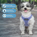 Best Pet Supplies Voyager Step-in Air Harness - All Weather Mesh, Reflective, No Pull Harness for Dogs, Cats - Secure with Hook & Loop Fastener, Buckle, Double D-Rings - Lavender, M