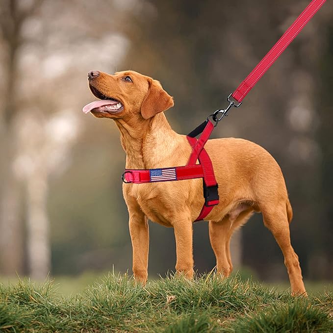 Annchwool No Pull Dog Harness with Soft Padded Handle,Reflective Strip Escape Proof and Quick Fit to Adjust Dog Harness,Easy for Training Walking for Small & Medium and Large Dogs(Red,XL)