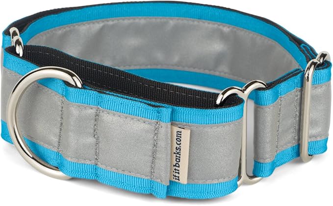 If It Barks - 1.5" Reflective Martingale Collar for Dogs - Adjustable - Made in USA - Strong, Durable, and Comfy - Ideal for Training - Suitable for Most Breeds - Medium, Turquoise