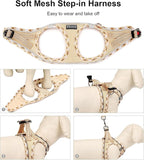 Mercano Soft Mesh Dog Harness and Leash Set, No-Chock Step-in Reflective Breathable Lightweight Easy Walk Vest Harnesses with Safety Buckle for Small Dogs, Cats (Beige, XL)