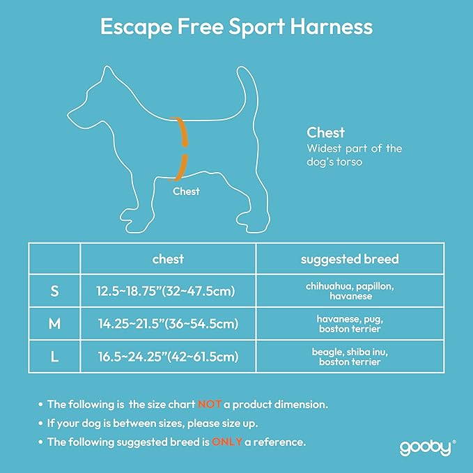 Gooby Escape Free Sport Harness - Turquoise, Large - No Choke Step-in Patented Neoprene Small Dog Harness, Four-Point Adjustment - Perfect on The Go Dog Harness for Medium Dogs No Pull and Small Dogs