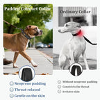 Mayerzon 1.5" Wide Martingale Collar for Large Medium Small Dogs Pitbull German Shepherd, No Pull Reflective Slip Martingale Dog Collar with Buckle Soft Padded for Walking Training(Black,S)