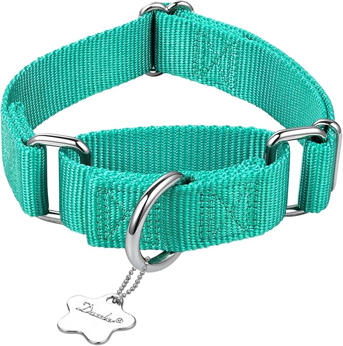 Martingale Dog Collar, No-Buckle Escape-Proof Design, Heavy-Duty Nylon and Welded D-Ring, Adjustable Training Collar for Medium Large Dogs (Tiffany Blue, L)
