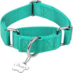 Martingale Dog Collar, No-Buckle Escape-Proof Design, Heavy-Duty Nylon and Welded D-Ring, Adjustable Training Collar for Medium Large Dogs (Tiffany Blue, L)