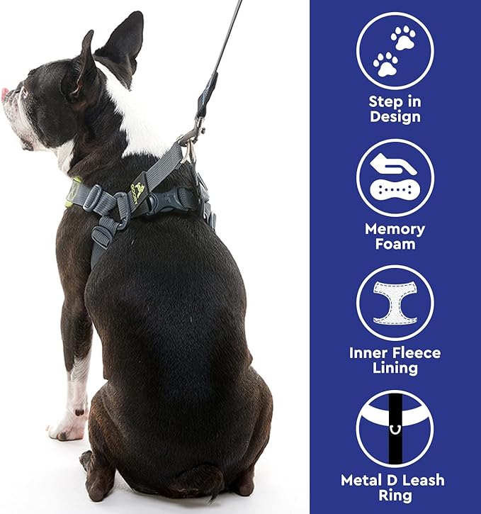 Gooby, Medium Green Memory Foam Escape Free Harness with 4-Point Adjustment for Small Dogs
