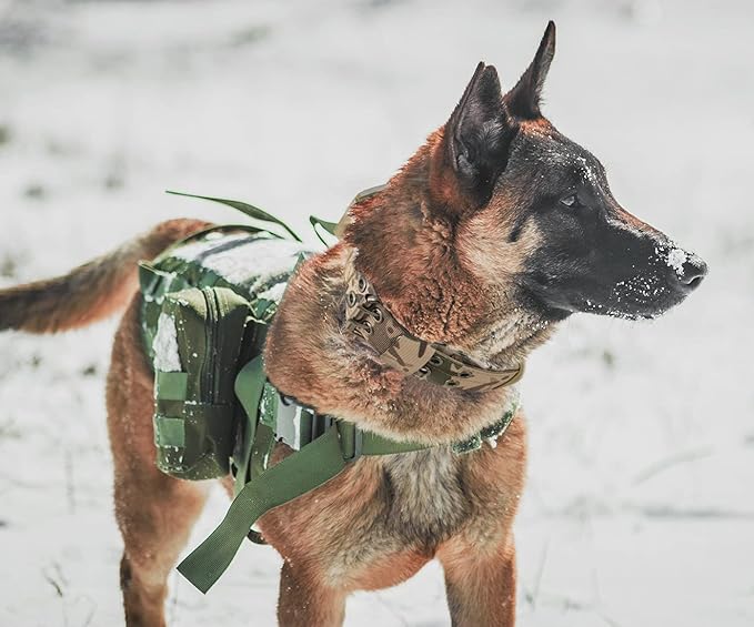 Tactical Dog Collar with Handle - Military Adjustable Dog Training Collar Soft Nylon and Heavy Duty Metal Buckle for Medium Large Dogs - with Patch (Camo with Patch, X-Large)