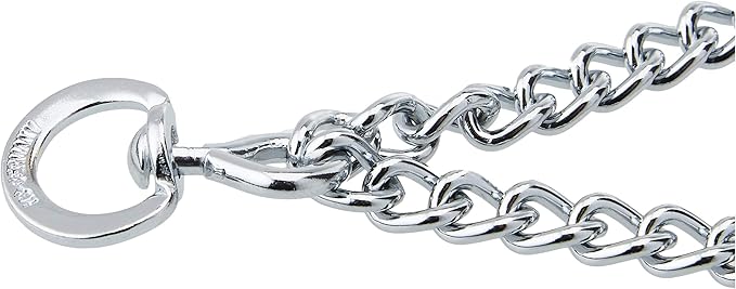 HS Sprenger Chrome Steel Training Collar