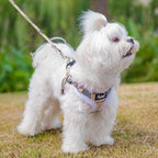 PUPTECK Dog Harness and Leash Set Small Sized, Step in No Pull Adjustable Puppy Cat Harness Reflective Pet Vest