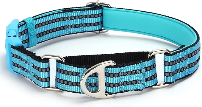 Martingale Collar for Dogs -Reflective Nylon No Slip Choke with Padded Comfort Heavy Duty Dog Collar with Quick Release Buckle for Training, Walking & Overexcited Pulling Blue M
