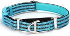 Martingale Collar for Dogs -Reflective Nylon No Slip Choke with Padded Comfort Heavy Duty Dog Collar with Quick Release Buckle for Training, Walking & Overexcited Pulling Blue S