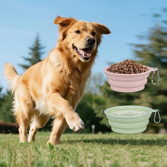 2-Pack, LeeRound Collapsible Dog Bowls, 22OZ Large Breed Travel Bowls with Carabiner Clip, Portable Silicone Food & Water Bowls for Beach, Hiking, Camping, Car, Pet Outdoor&Home Daily Use