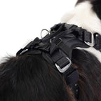 Ezydog Drive Dog Car Harness – Crash Tested and Certified (US-FMVSS 213) Dog Seat Belt Harness for Safe Travel, Adjustable with Padded Comfort (Medium)