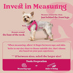rabbitgoo Small Dog Harness, Step-in Soft Mesh Puppy Vest with Safety Buckle, Breathable Reflective Pet Harness for Extra Small Dogs, Rose Red XXXS