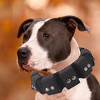 Dog Collar, Tactical Dog Collar, Weighted Dog Collar with Weights for Dog Training and Exercise Equipment - Free Weights, Small, Medium, Large Dogs