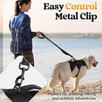 rabbitgoo Escape Proof Dog Harness with Large Handle