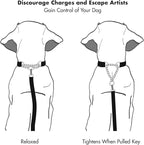 Friends Forever Martingale Collars for Dogs, Reflective No Pull Dog Collar for Training Large/Medium Breed Dogs, Medium