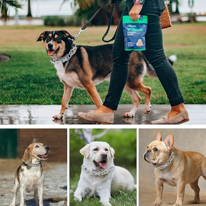 Pinch Collar for Dogs, Prong Training Collar with Quick Release Buckle for Dog Pulling Behavior Correction, Adjustable Pinch Leashes (M/L / 18-23" Neck Size)