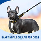 Kazazoo Martingale Collar for Dogs with Quick Release Buckle Adjustable Soft Durable Dog Collar for Small Medium Large No Pull Training Dog Collars-Black Sunflower S