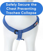 Pawtitas Reflective Step-in Dog Harness – Adjustable No-Pull Vest for Puppies to Seniors, Safe & Comfortable, L Blue