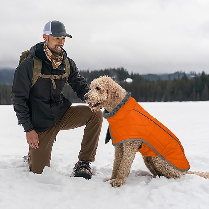 Fragralley Dog Coat Large, Waterproof Dog Jacket with Warm Fleece Lining, Adjustable Reflective Dogs Winter Coat, Turtleneck Pet Coats for Cold Weather (Orange XXXL)