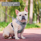 PUPTECK Small Dog Harness and Leash Set, No Pull Adjustable Puppy Cat Harness, Reflective Soft Mesh Pet Vest Small Sized, Grey, XS