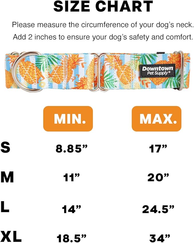 Downtown Pet Supply - Martingale Collar for Dogs - Dog Training Collar - Big, Wide & Thick Dog Collar - Escape-Proof, Weatherproof, Durable and Comfortable - Pineapple - Medium Dog Collar