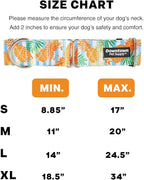 Downtown Pet Supply - Martingale Collar for Dogs - Dog Training Collar - Big, Wide & Thick Dog Collar - Escape-Proof, Weatherproof, Durable and Comfortable - Pineapple - Large Dog Collar