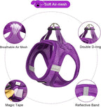 YIMEIS Dog Harness and Leash Set, No Pull Soft Mesh Pet Harness, Reflective Adjustable Puppy Vest for Small Medium Large Dogs, Cats (Purple, X-Small (Pack of 1)