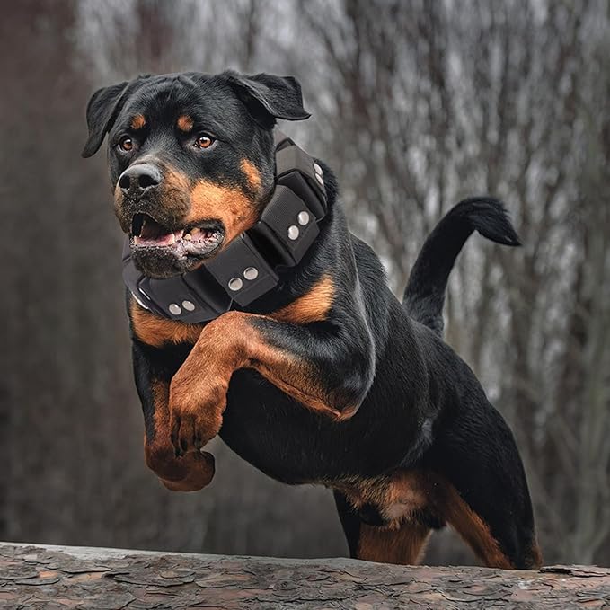Tactical Weighted Dog Collar - Weights for Training & Exercise - Small, Medium, Large Dogs