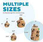 Outward Hound Hide-A-Squirrel Dog Toy – Interactive 2‑in‑1 Plush Puzzle with 6 Squeaky Removable Squirrels, X-Large