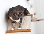 CatastrophiCreations Cat Multi-Level Raceway Hammock Wall Mounted Lounger for Climb and Play Furniture Cat Tree Shelves, Natural/Natural (LR11NANT)