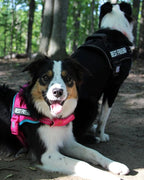 AUROTH Dog Harness and Leash Set, Soft Padded Service Dog Vest with 5.25FT Dog Leash, No Choke, Easy On Pet Vest, Adjustable Reflective No Pull Dog Harness for Large Dogs, Easy Walking and Training