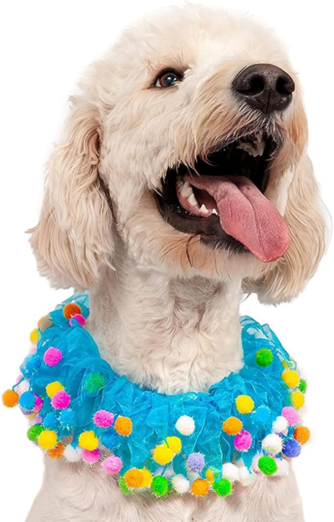 Elegant little tail Dog Birthday Costume - Blue Collars Cute Colorful Fluffy Ball Dog with Birthday Hat Boy Pet Tutu Collar Suit Pet Holiday Costume for Small Medium Dogs