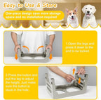 Elevated Dog Bowls 3 Height Adjustable Raised Bowl Stand with 25oz Stainless Steel Dog Food Bowls Anti-Slip for Small Dogs Adjusts to 7.5", 6", 2.75", Grey